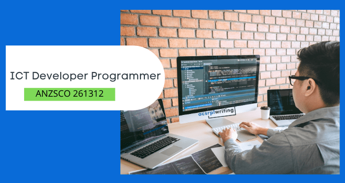 Developer Programmer ANZSCO261312