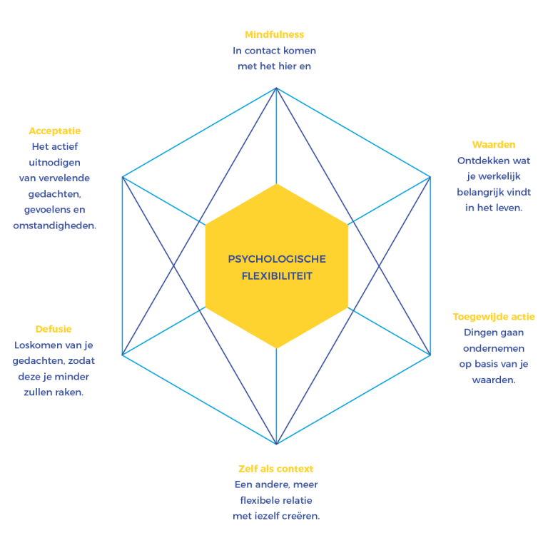 Wat is ACT? ACT Methodiek ACT Guide