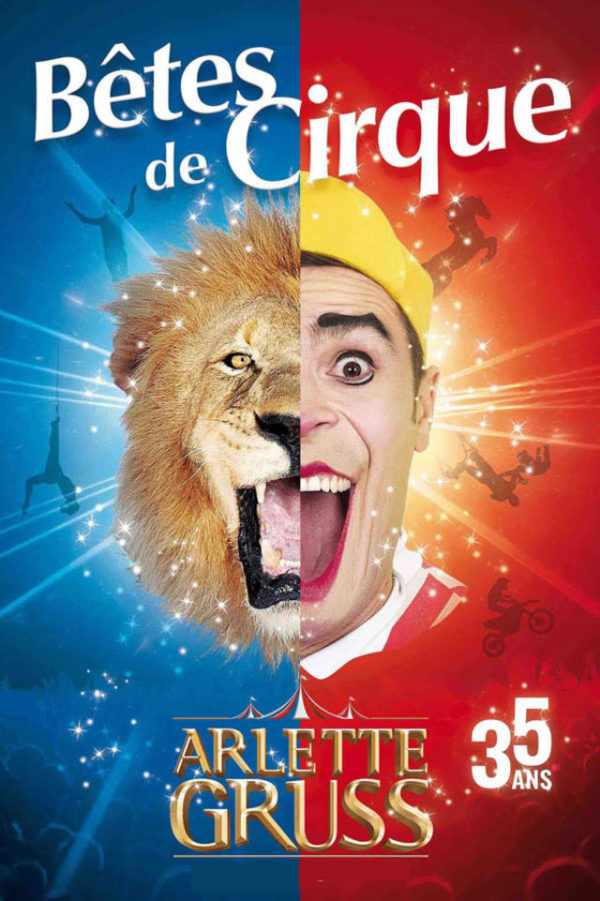 Fiche de révision sur les arguments concernant les animaux