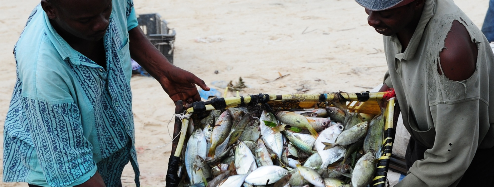 Agricultural Council Of Tanzania ACT to Agricultural Council