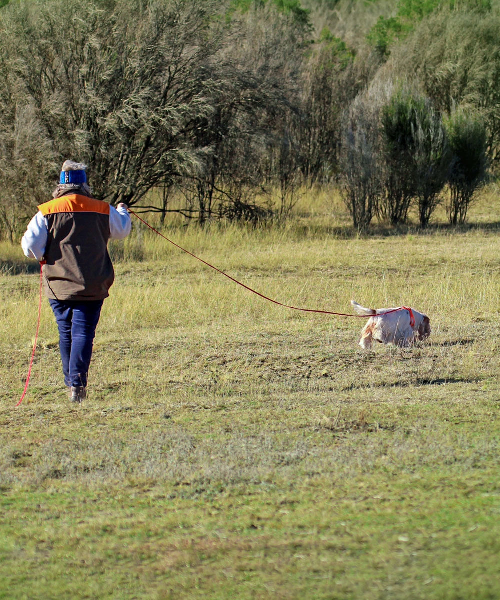 Tracking ACT Companion Dog Club