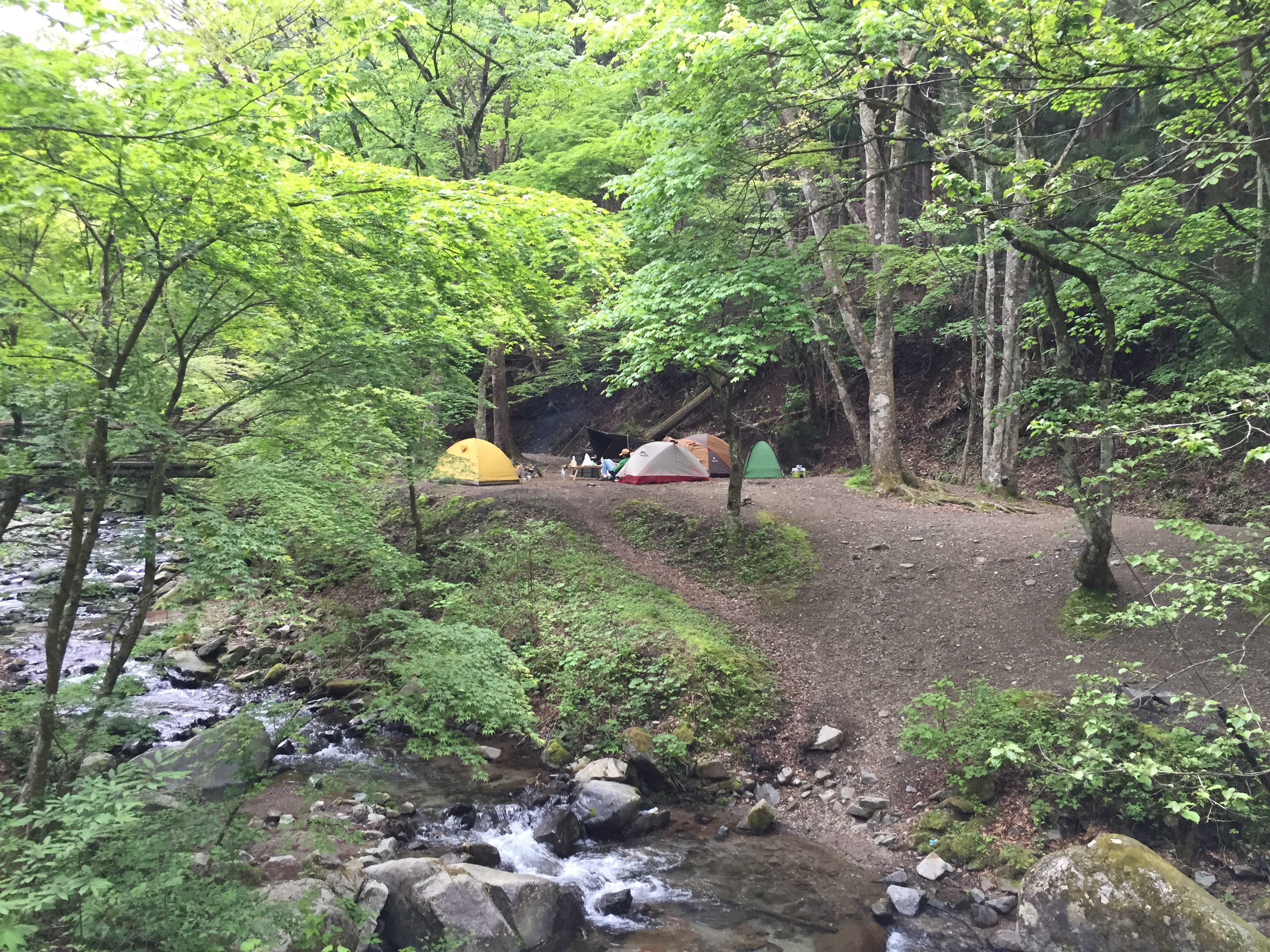 【直火OK】自然あふれる道志の森キャンプ場でフリーサイトキャンプ ACTIBASE