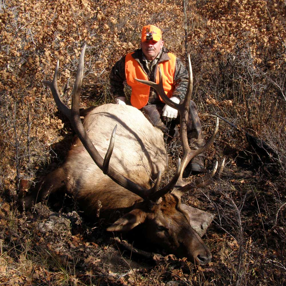 elk hunting