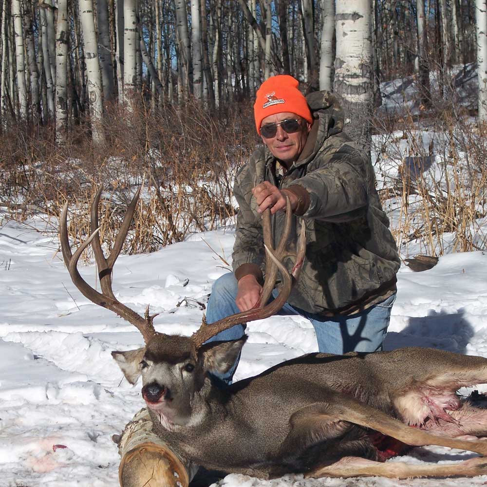 mule deer hunting