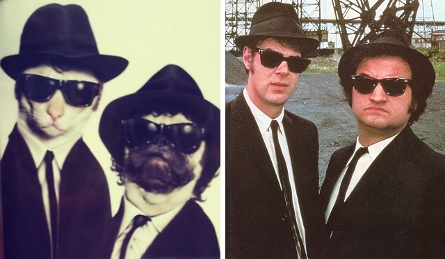 Halloween Costume Spectacular! 60 Costumes That Will Make You Laugh