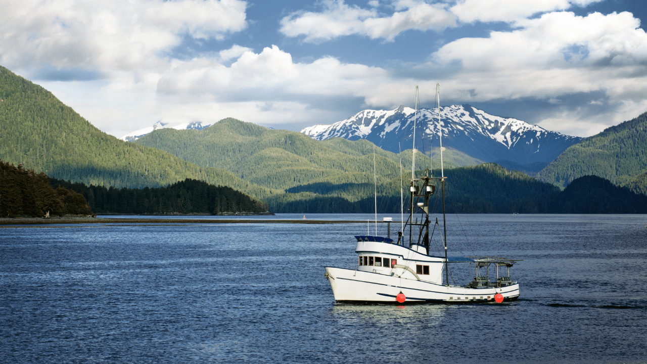 Best Charter Boats Action Alaska Sportfishing