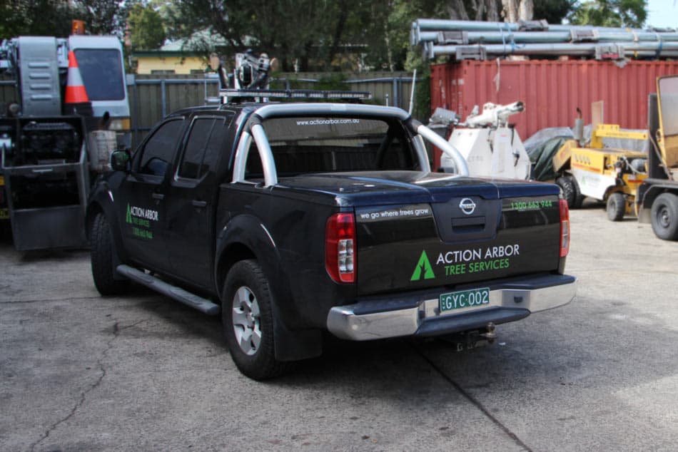 Action Arbor Tree Services Sydney Tree Removal Stump Removal