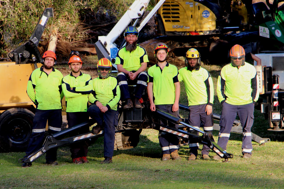 Action Arbor Tree Services Sydney Tree Removal Stump Removal