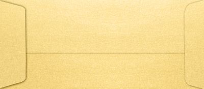Gold Metallic 10 Envelopes Open End (4 1/8 x 9 1/2)