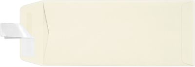 70lb. Natural 10 Envelopes Open End (4 1/8 x 9 1/2)