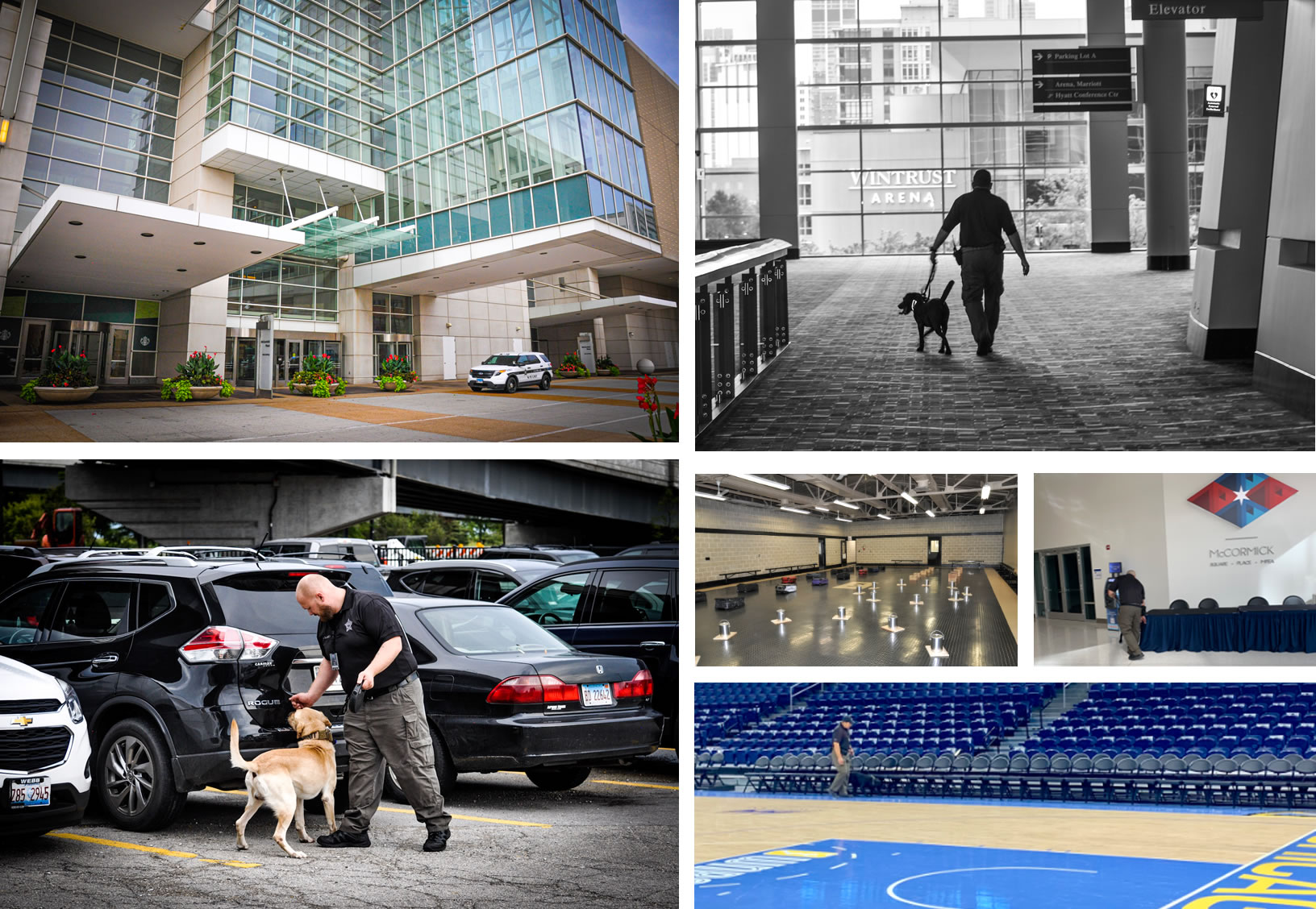 Explosive Detection Action K9 Security — The Leader in