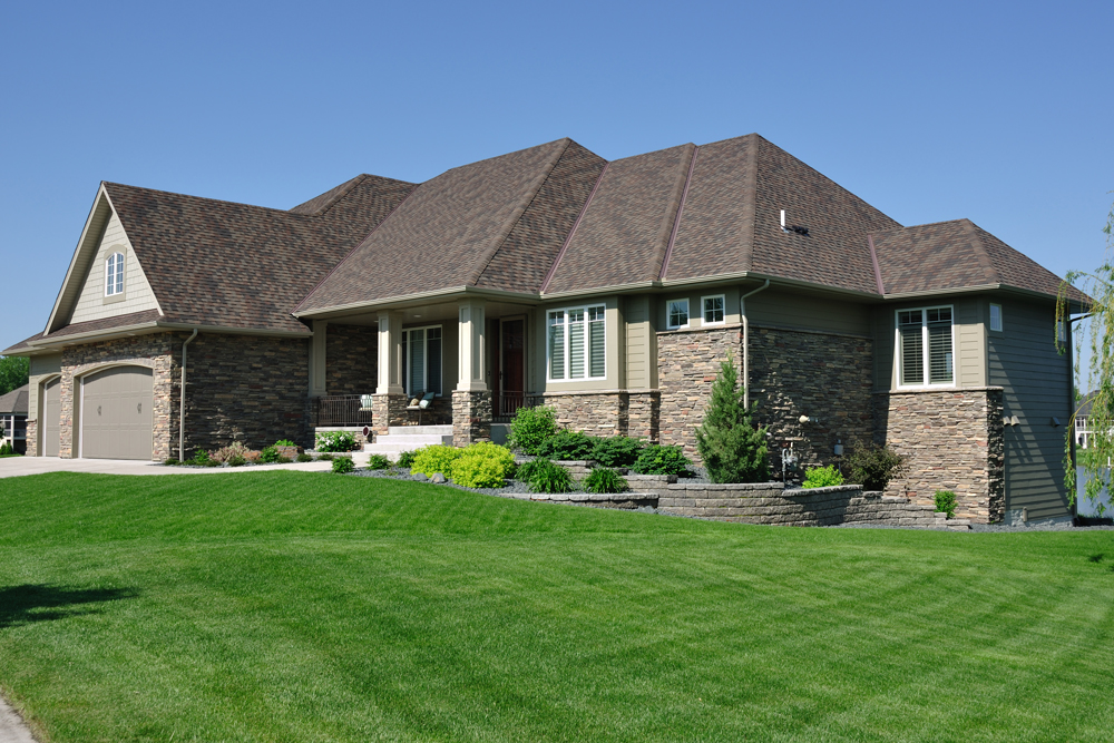 Lawn Spray Action Now Pest Control