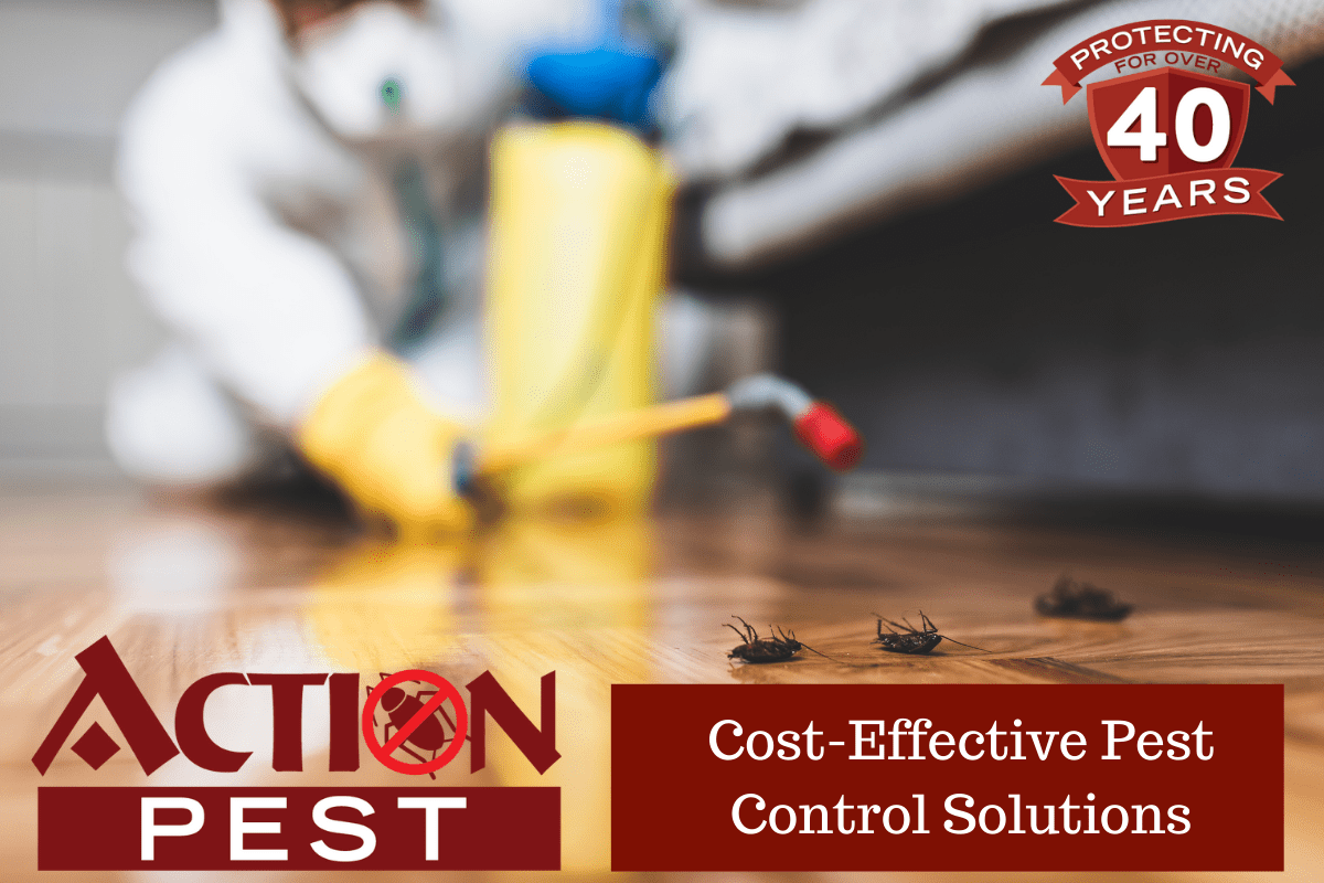Action Pest Control ServicesCostEffective Pest Control Solutions