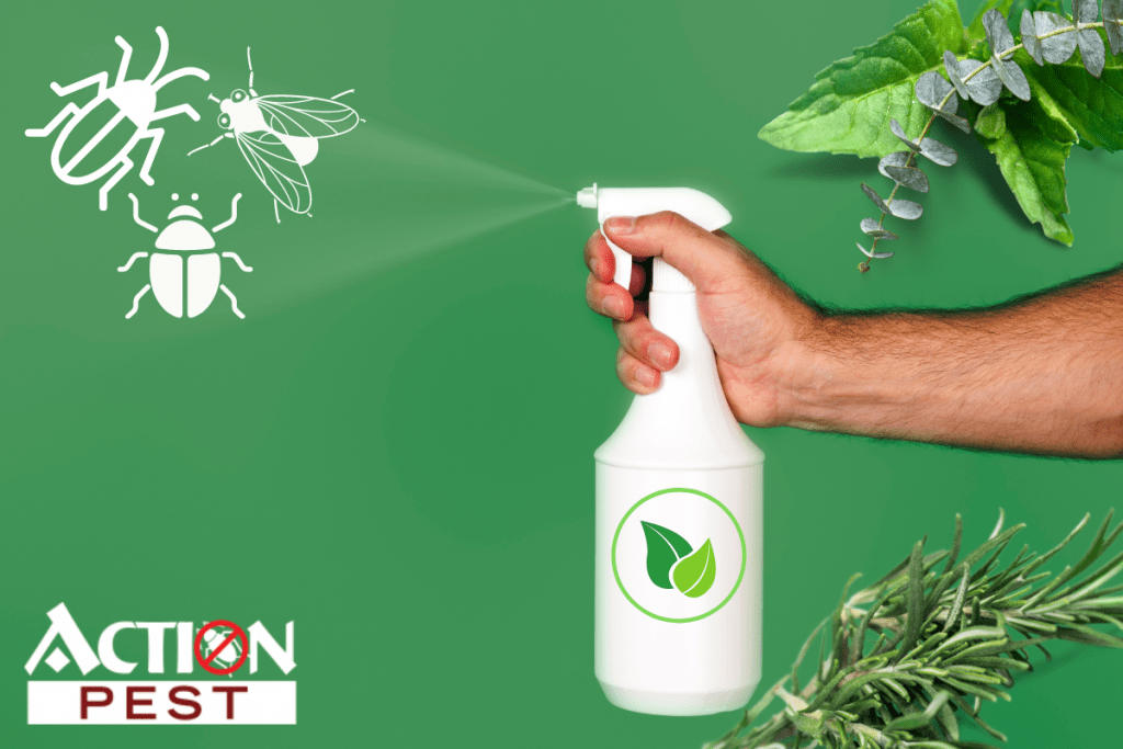 Natural Pest Control Remedies For Insects ActionPest
