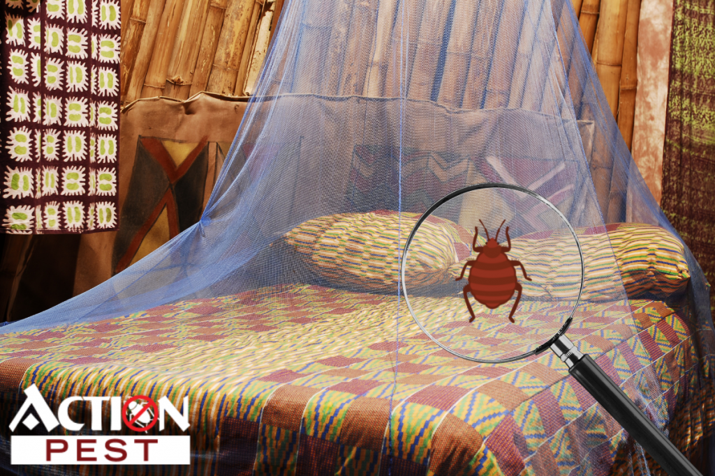 Action Pest Control ServicesHow Bed Bug Bites Affect You & Your Pets Action Pest Control Services