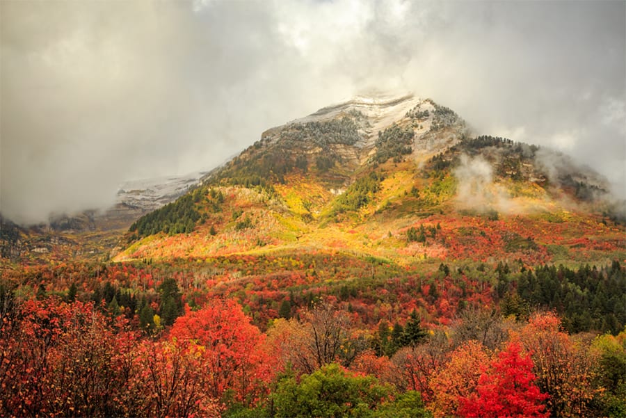 Northern Utah Fall Color Ph
oto Utah Photo Tours