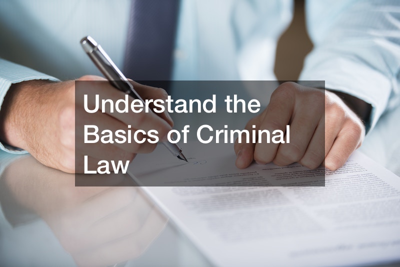 Understand the Basics of Criminal Law Action Potential