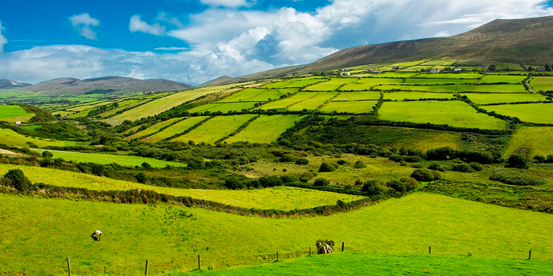 Where does Ireland's energy come from? Action Renewables