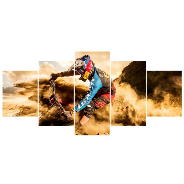 Custom Canvas Prints Action Sports Canopies