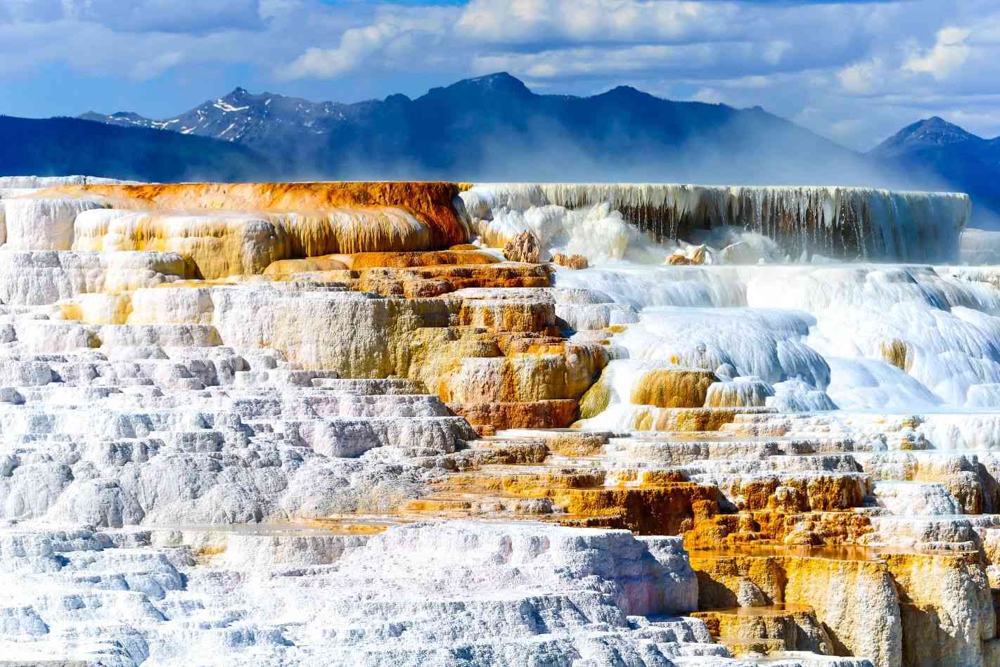 Yellowstone National Park SelfGuided Driving Tour