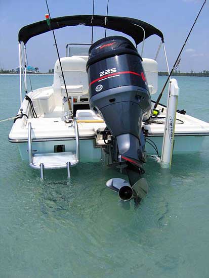 Custom Dive & Swim Platforms By Action Welding Cape Coral