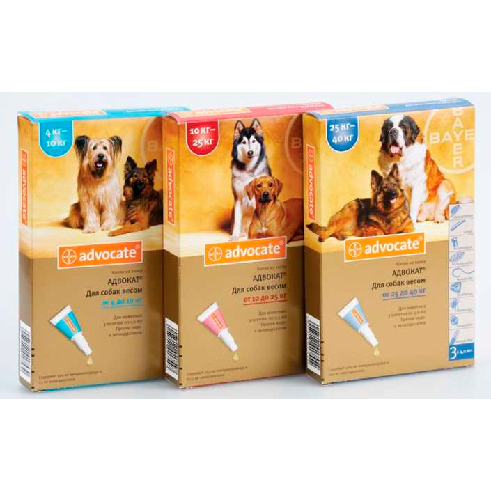 Advocate Bayer (Адвокат) капли в холку для собак Защита от паразитов