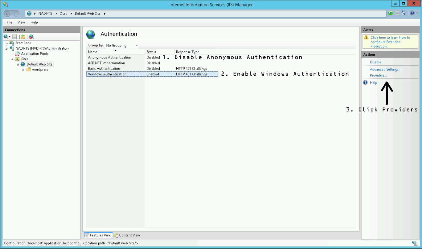 SSO with IIS on Windows