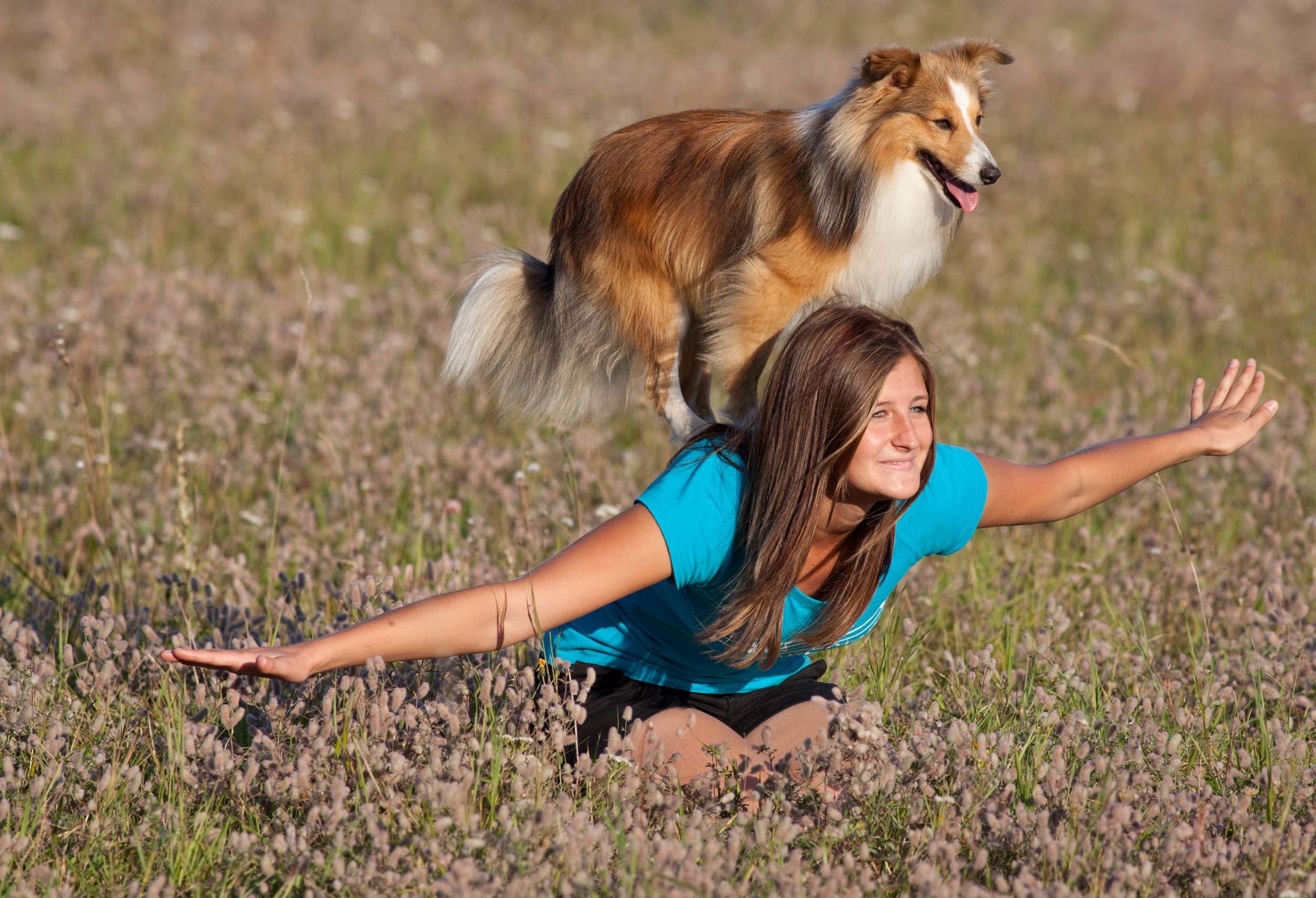 Dogdance in Cadolzburg Active Dogs by Jutta Schnur