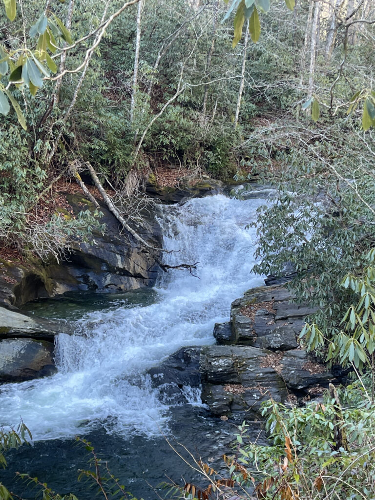 Brevard NC Concierge Services Active After 55