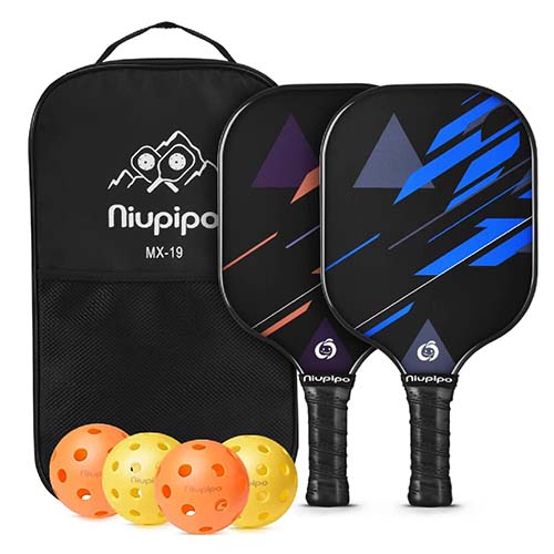 5 Best Pickleball Paddles Reviews Active Aging