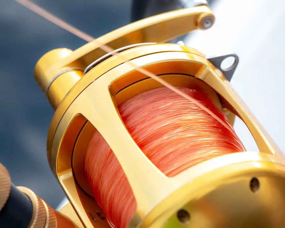 Best Line for Surf Fishing How to Choose the Right One for Your Next