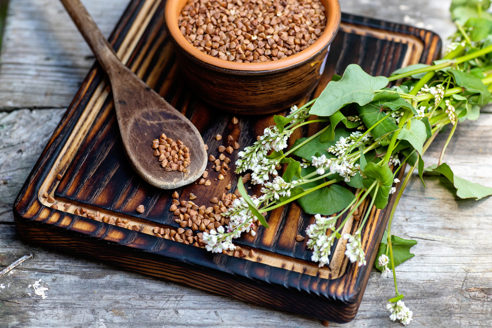 The Incredible Health Benefits of Buckwheat ActiveBeat Your Daily
