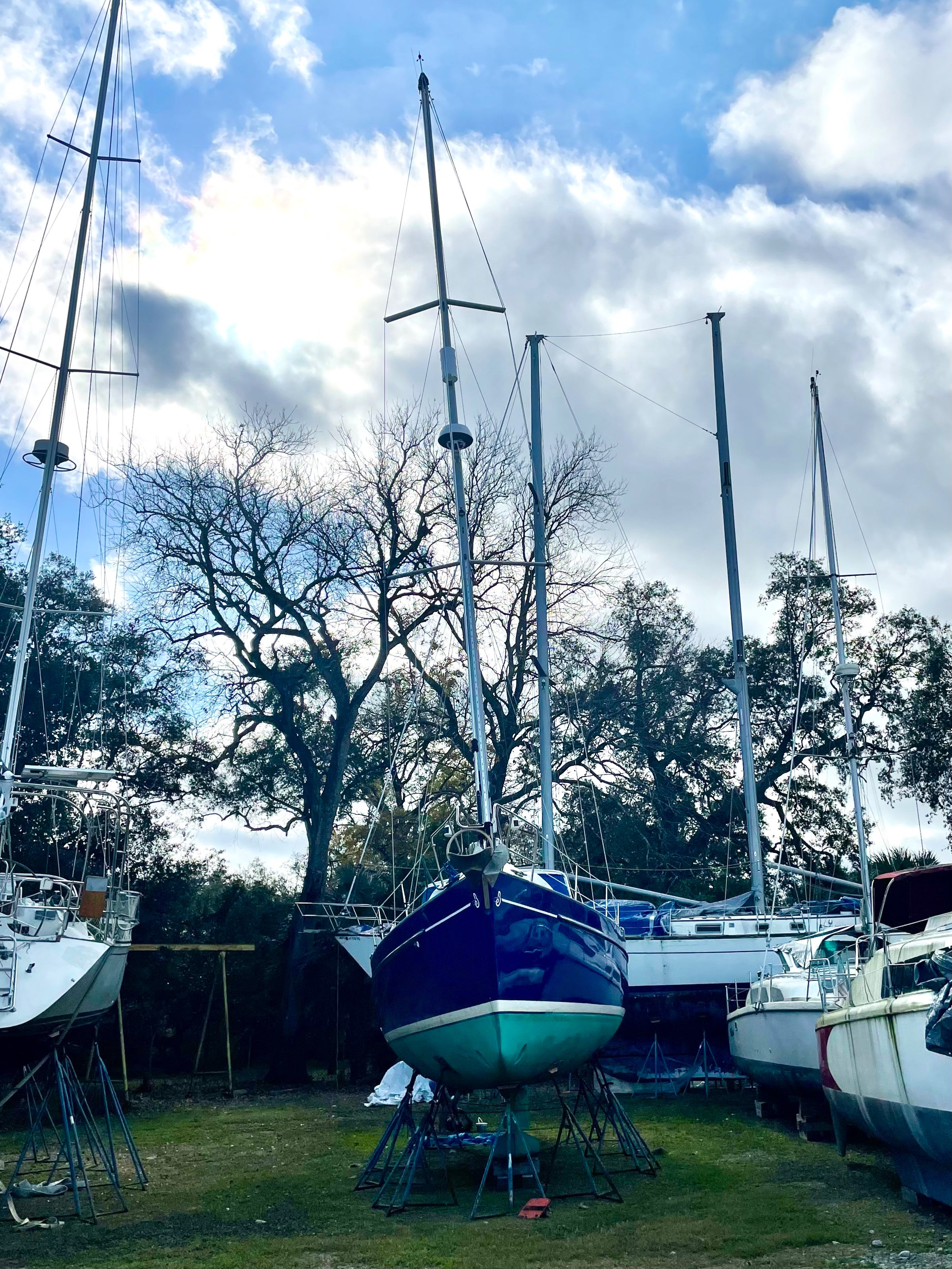 reynolds marina green cove springs fl Lynsey Stjohn