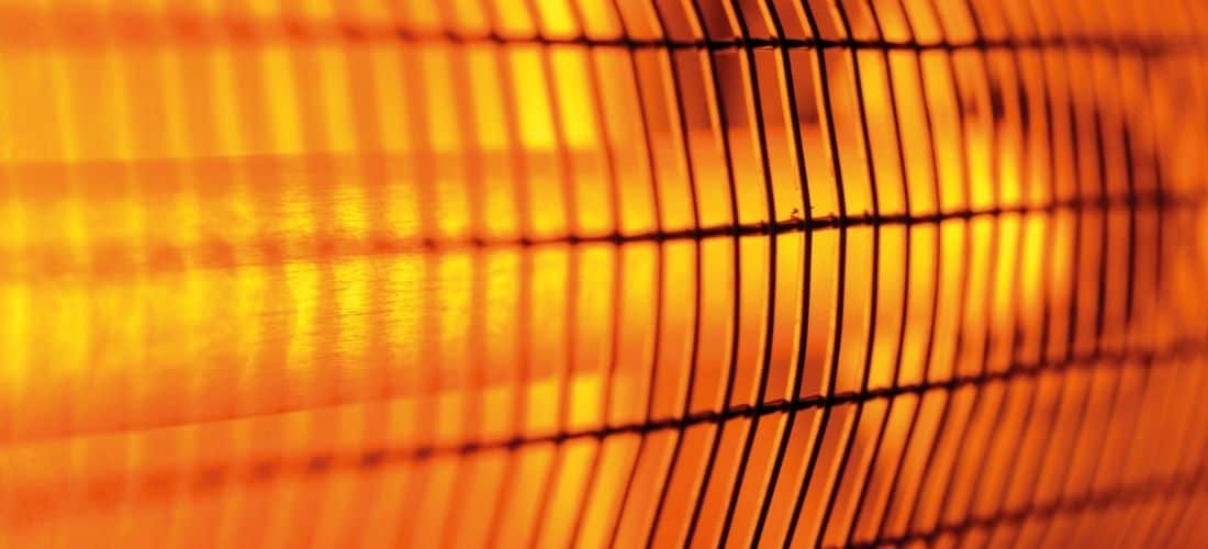 [2024] Best Heat Lamps for Dogs Complete Buyer's Guide