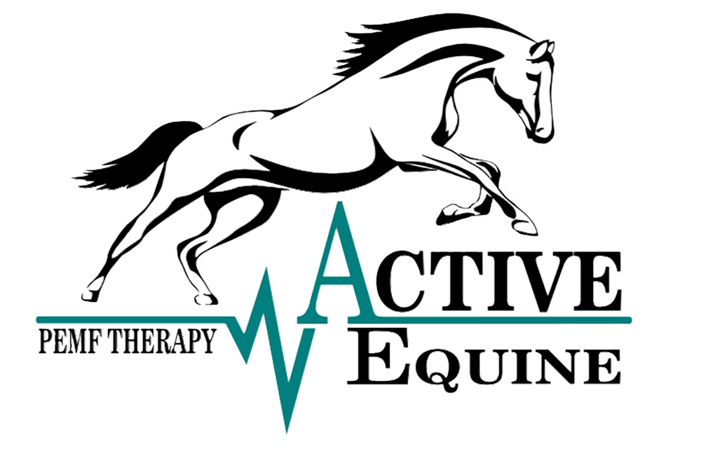 Home Active Equine PEMF
