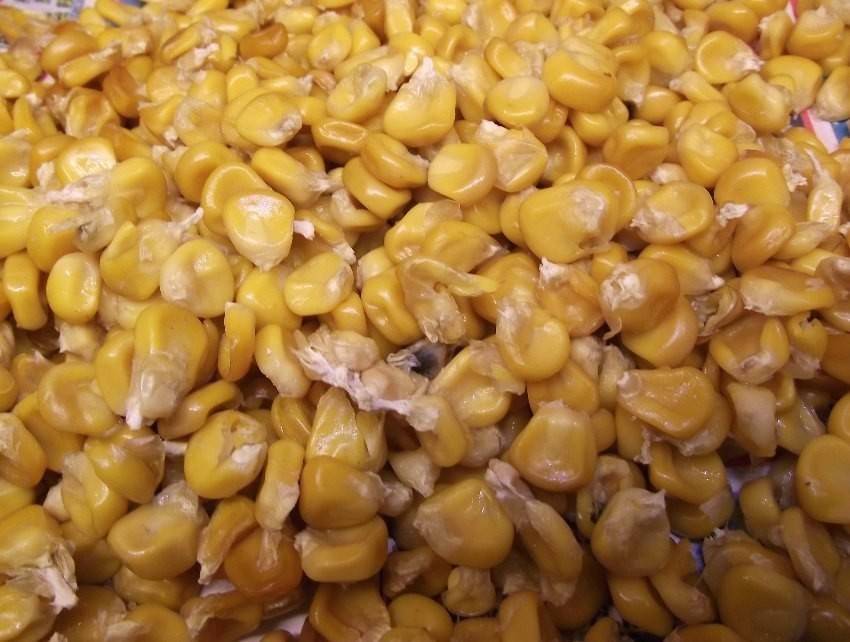 Как приготовить кукурузу для рыбалки рецепты, виды, способы