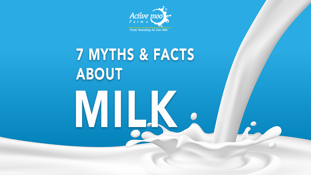 7 Myths And Facts About Milk Active Moo Farmms