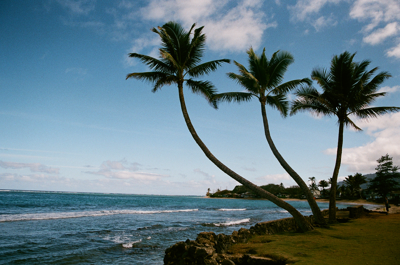 Hau'ula Beach Park Active Oahu