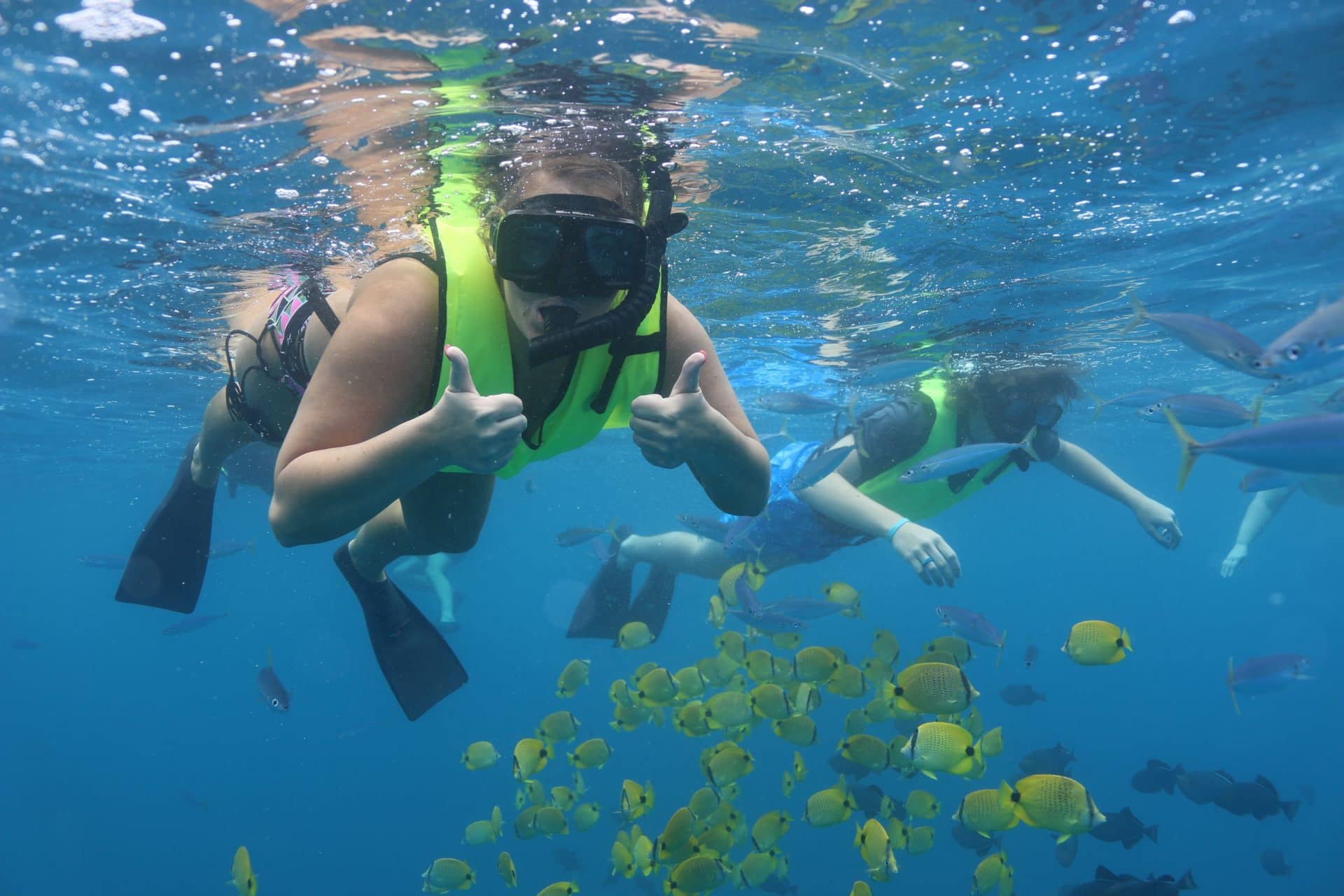 Dolphin Watching and Snorkeling Tour Active Oahu