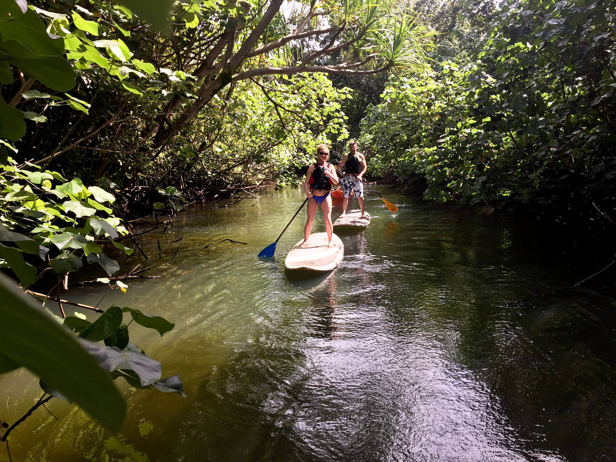 Oahu Stand up Paddle boarding SelfGuided Tour Near Laie, Punaluu