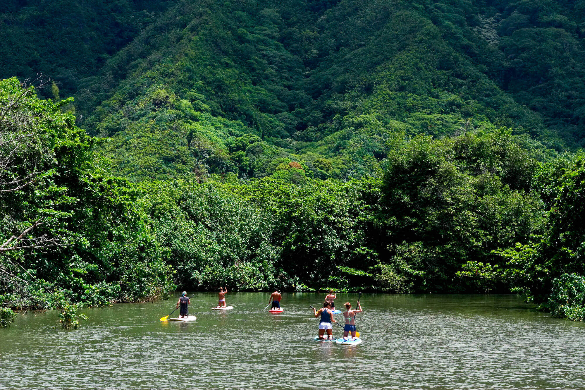 Oahu Stand up Paddle boarding SelfGuided Tour Near Laie, Punaluu