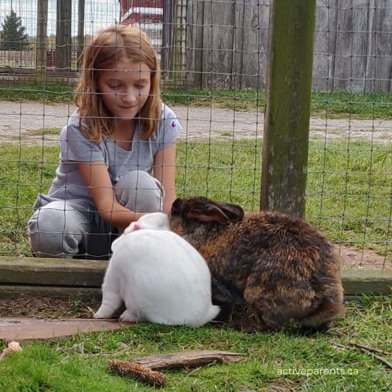 2022 Maple Syrup Festivals Near Hamilton, Burlington, Oakville and