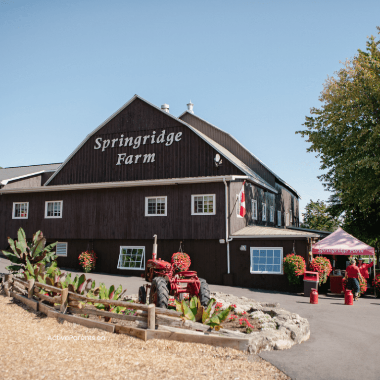 2022 Maple Syrup Festivals Near Hamilton, Burlington, Oakville and