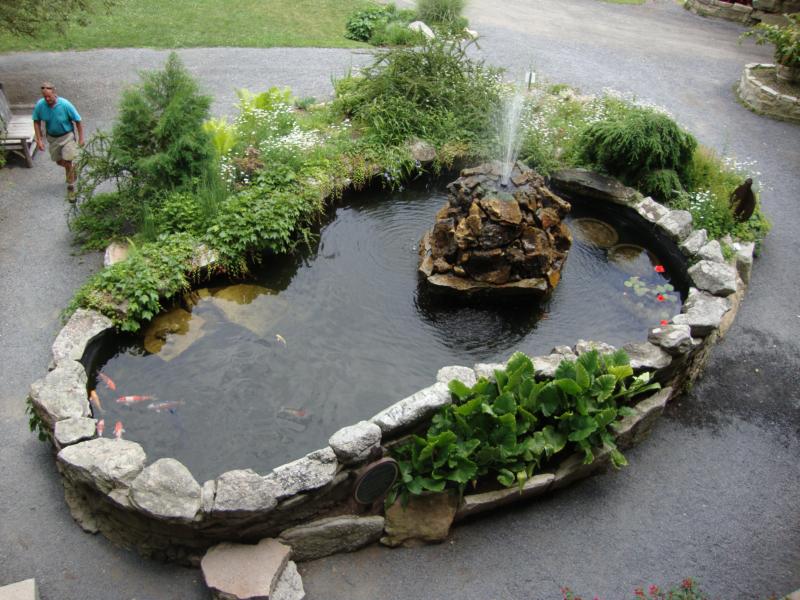 Wordless Wednesday Koi Fish in a New York Feng Shui Pond