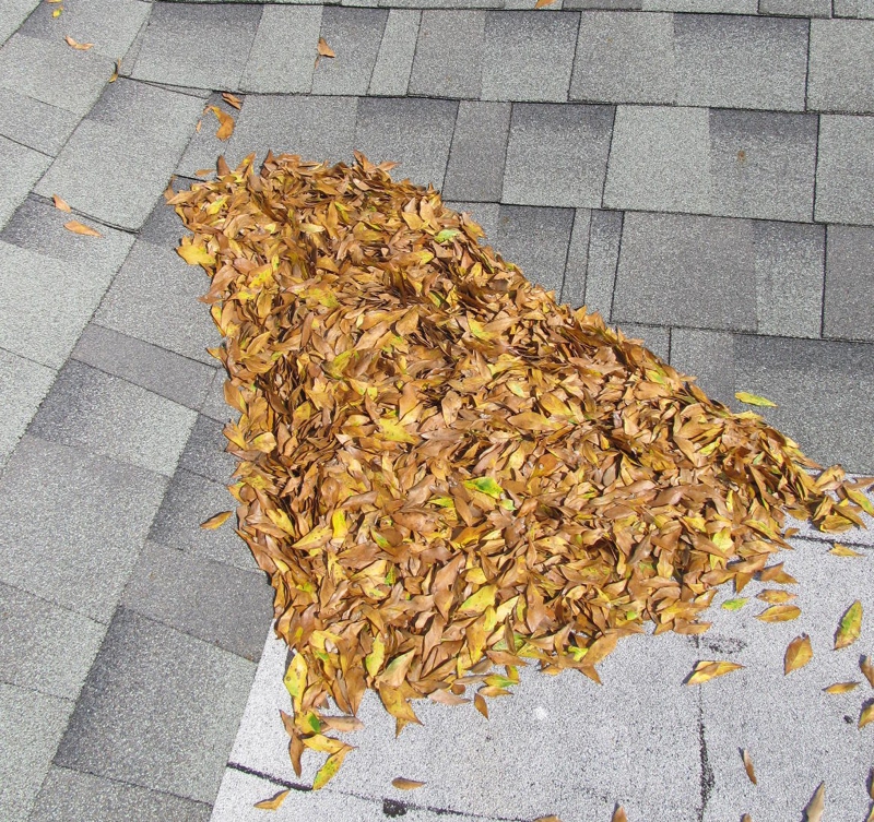 Clean those Gutters and Clear Your Roof of Fallen Leaves