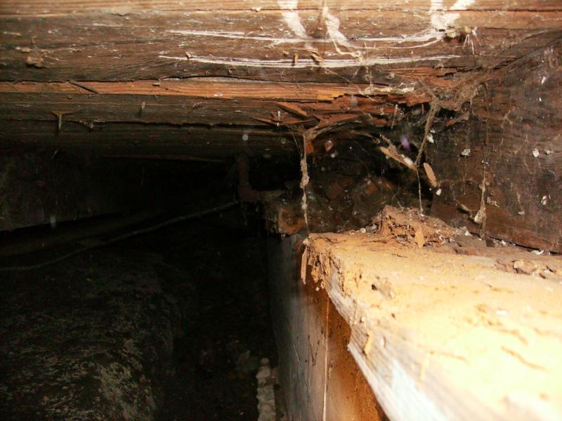 Water in crawl spaces