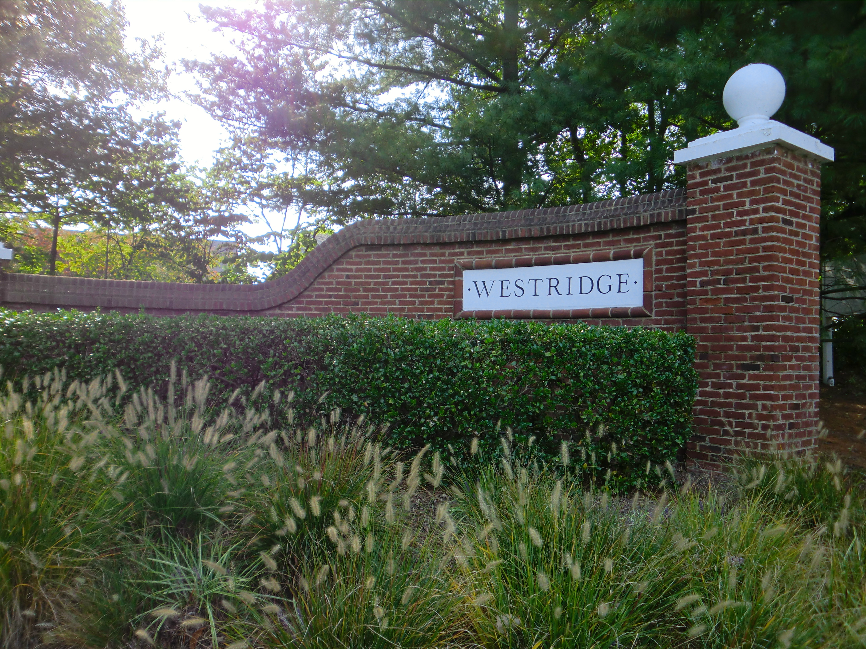 Westridge Community Yard Sale in Lake Ridge Virginia