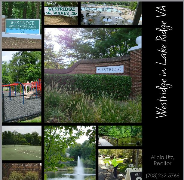 JUST LISTED IN LAKE RIDGEHOME FOR SALE TREEHOUSE VIEW