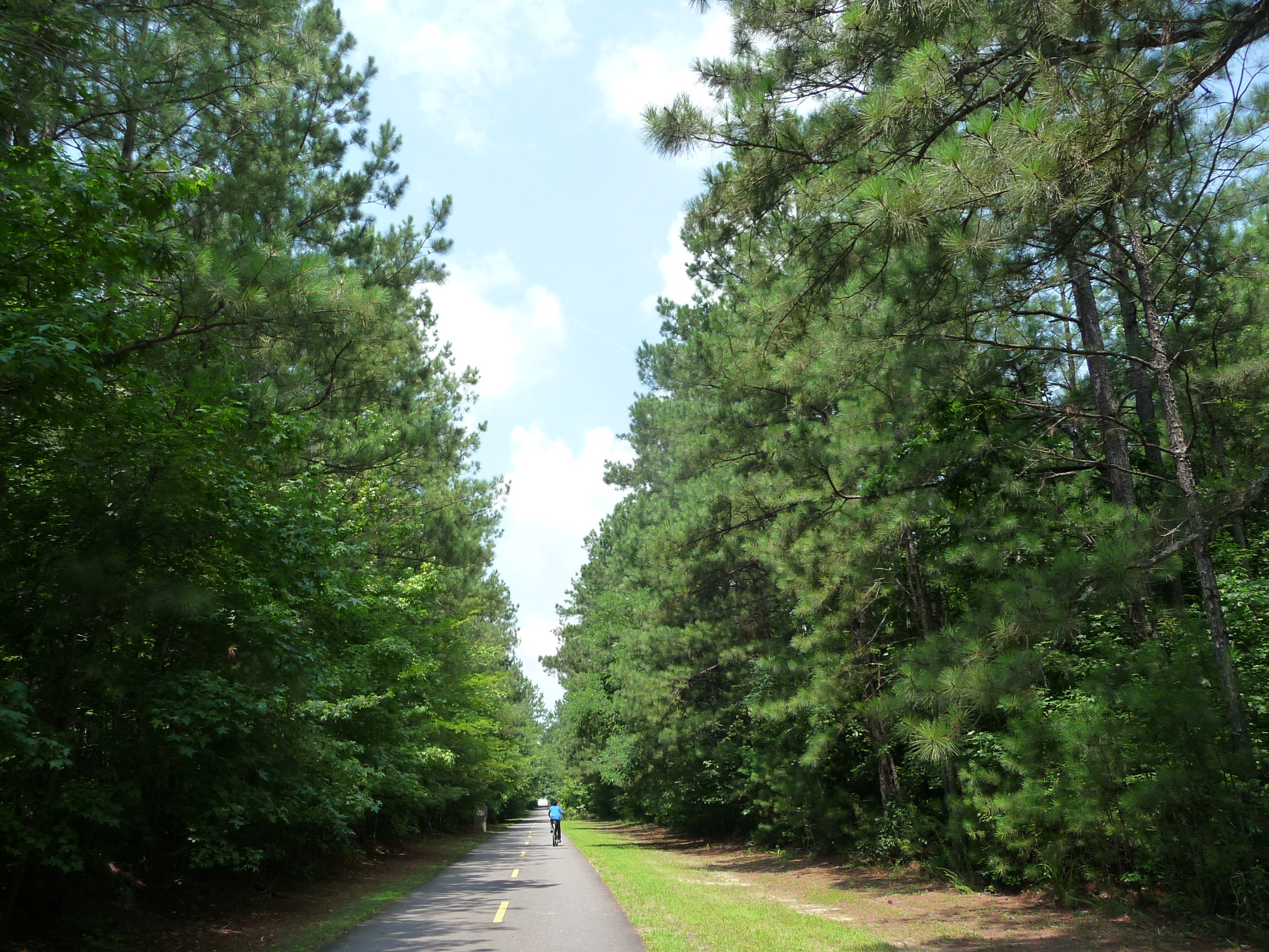 Homes for Sale in Hiram