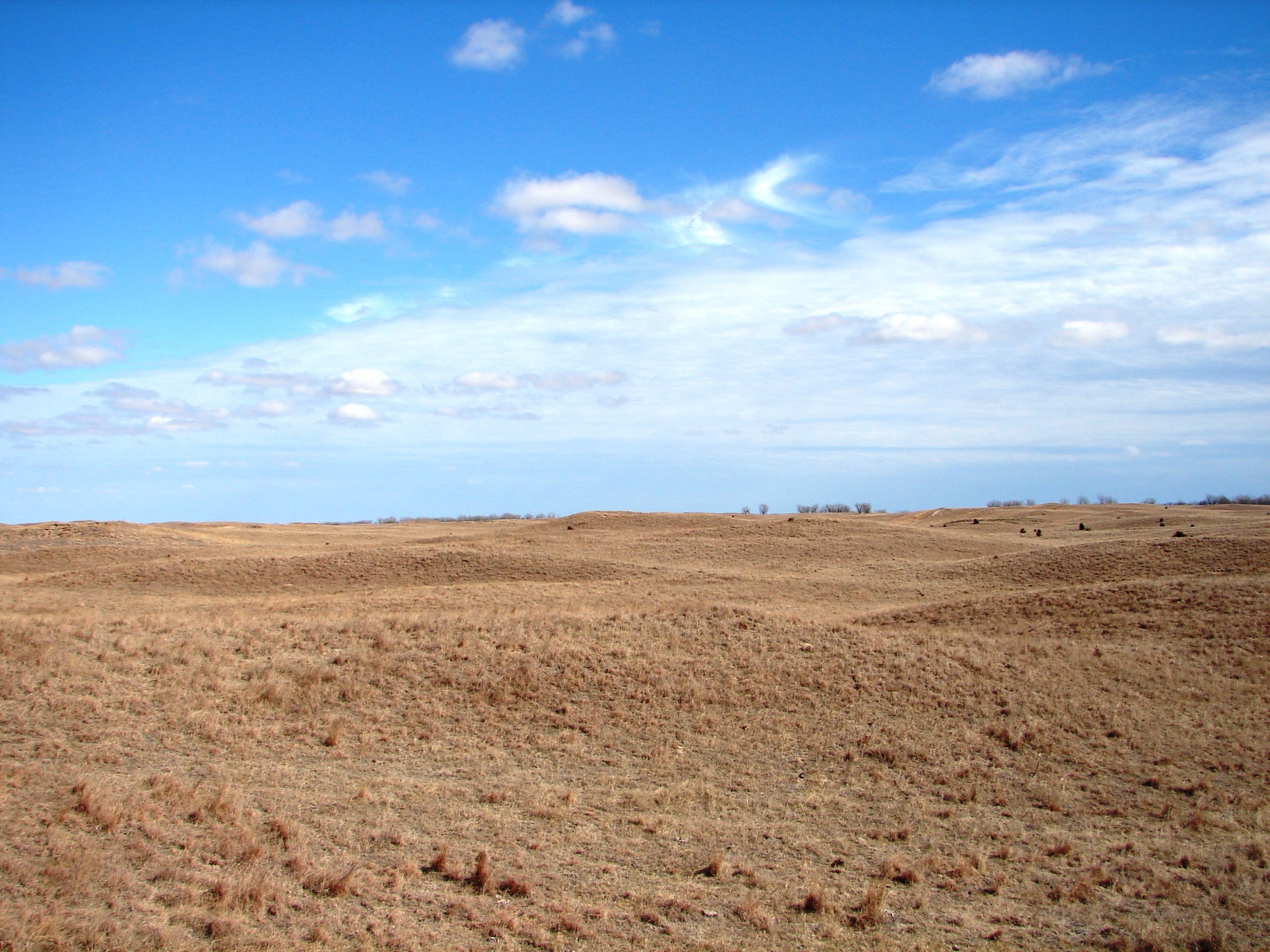 For Sale 469.5 acres Grass land Pasture Greeley, NE